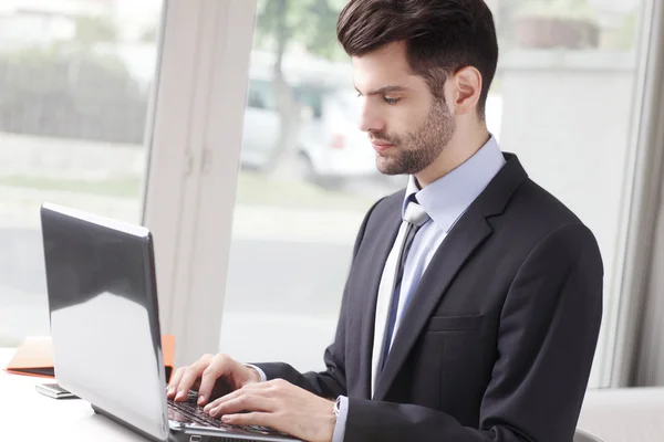 Conselheiro financeiro trabalhando no laptop — Fotografia de Stock