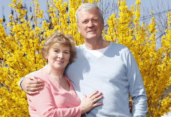 Portrait of senior couple — Stock Photo, Image