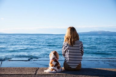 Arka planda, deniz kenarında şirin köpeğiyle oturan çizgili kazak giyen bir kadının resmi var..