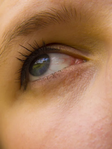 Close up of womans eye