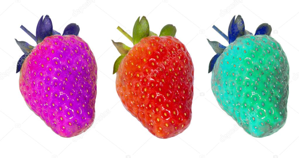 Genetically modified food, strawberries
