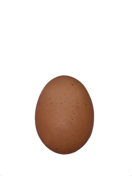 Jedno vejce, izolované na bílém — Stock fotografie