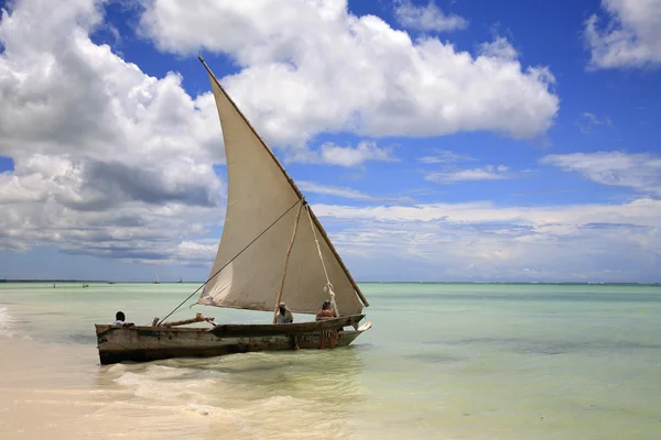 Zanzibar beach — Stok fotoğraf