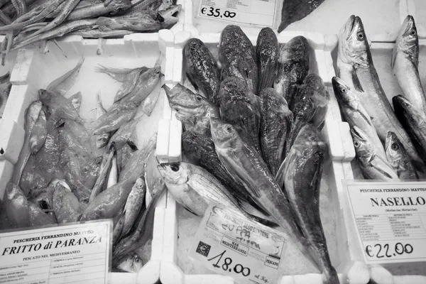 Livorno ciudad - Mercado central —  Fotos de Stock