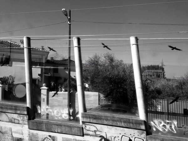 Tren de viaje a Florencia y volver — Foto de Stock