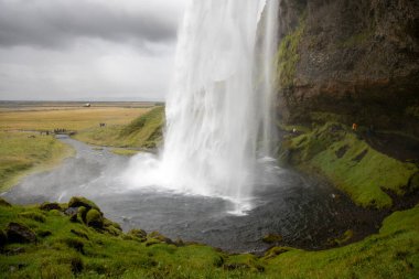 Çevre yolundan bir adım uzakta Seljalandsfoss doğdu, 60 metreden daha yüksek bir şelale eşsiz bir arazide..