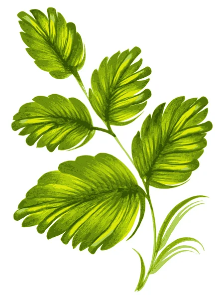 Hoja verde — Vector de stock