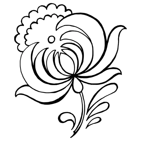 Dekorativní květina — Stockový vektor