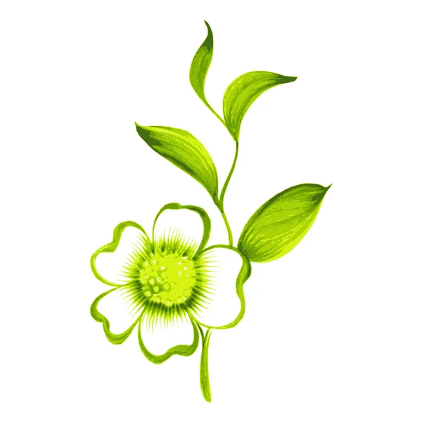 Rama de té verde con flores y hojas — Vector de stock