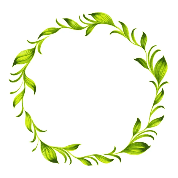 Rama círculo decorativo de té verde — Vector de stock