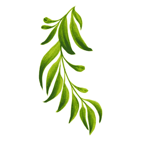 Decorative ornament branch with green leaves — Stock Vector