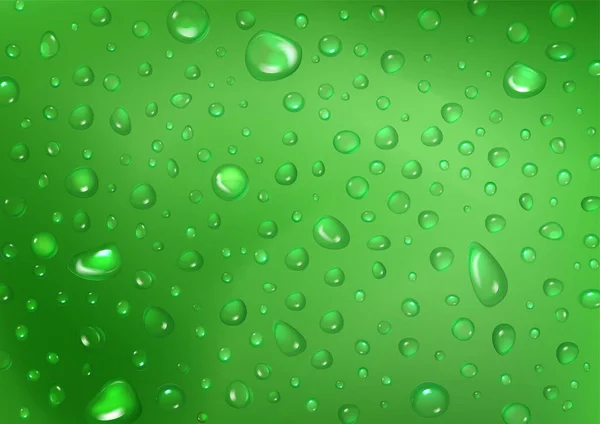 纯正晶莹的雨滴在绿色抽象的背景上 — 图库矢量图片