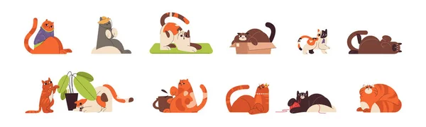 Flat cute ginger cats in different funny poses playing and relaxing — Image vectorielle
