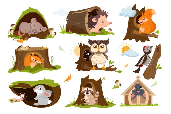 Set Forest Animals Sleep Hibernate Tree Hole Houses Woodland Burrows — Image vectorielle