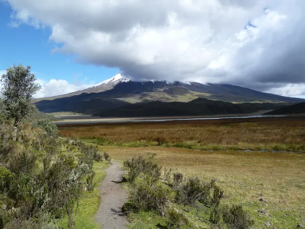 Cotopaxi National Park, Ecuador — Stock Photo, Image