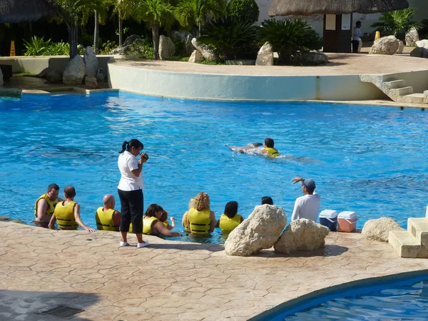 Cancun, Meksika (dolphinaris Dolphinarium)