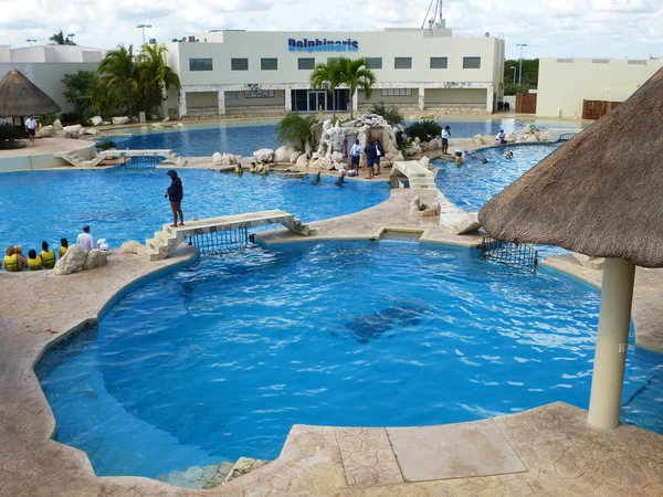 Dolphinarium in Cancun, Mexico (Dolphinaris) — Stock Photo, Image
