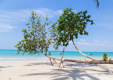 beyaz kum plaj ve deniz araçları