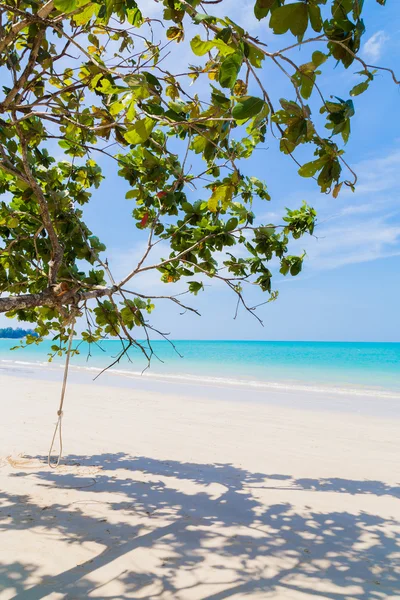 Білий піщаний пляж і дерево — стокове фото