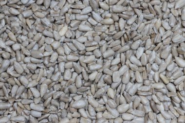 detay kadar yakın Ayçekirdeği.