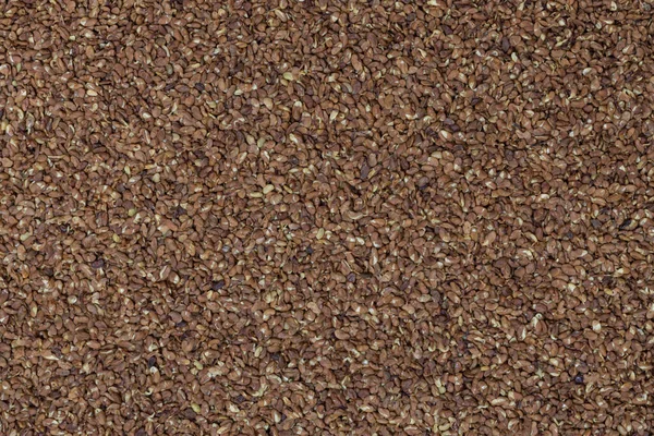 Alfalfa Brown Close Detail — Stock Photo, Image