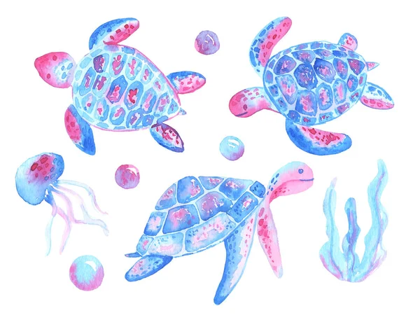 Želva Akvarelová Medúza Mořské Řasy Růžových Azurových Barvách Mořská Souprava — Stock fotografie
