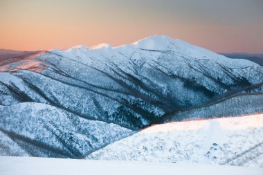 MT Feathertop