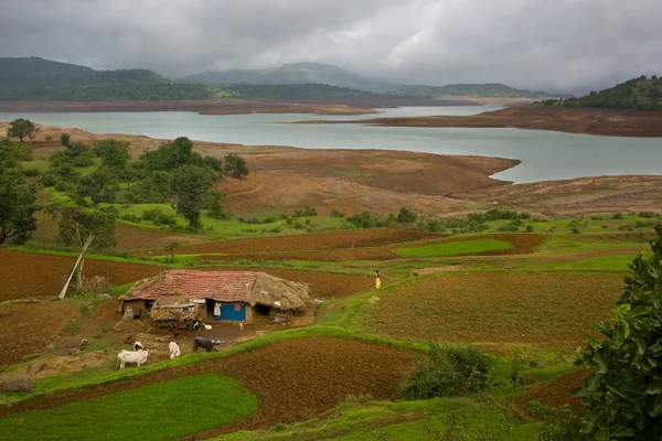 Terreni agricoli indiani — Foto Stock