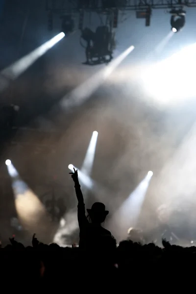 Festivalbesucher — Stockfoto