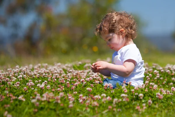 Girl Picking Flowers — Stock Photo, Image