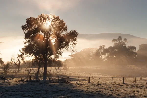 Nascer do sol no vale de Yarra no inverno — Fotografia de Stock