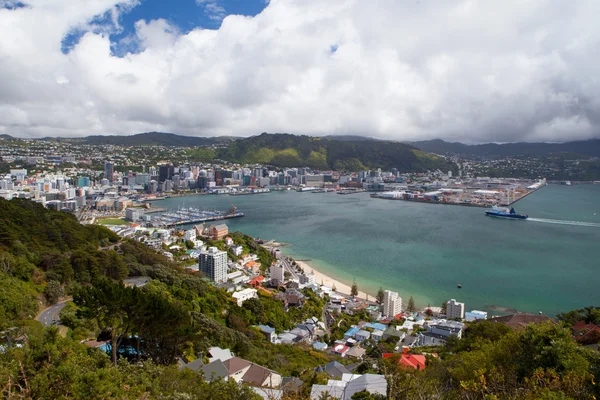 Wellington manzarası — Stok fotoğraf