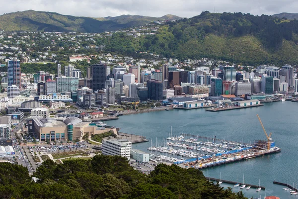 Wellington Skyline dan Pelabuhan — Stok Foto