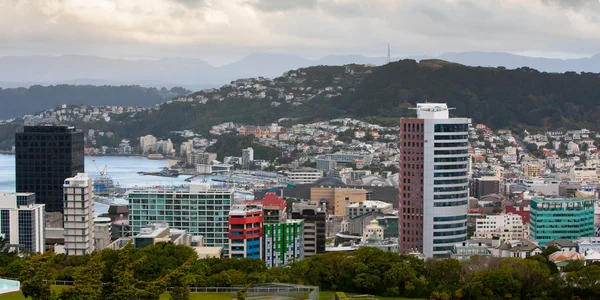 Horizonte de Wellington — Fotografia de Stock