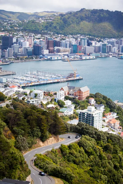 Panoramę miasta Wellington — Zdjęcie stockowe