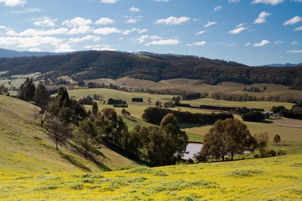 Yarra Valley View — Stock Photo, Image