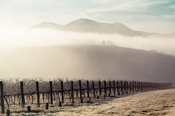 Sonnenaufgang über dem Yarra Valley im Winter — Stockfoto