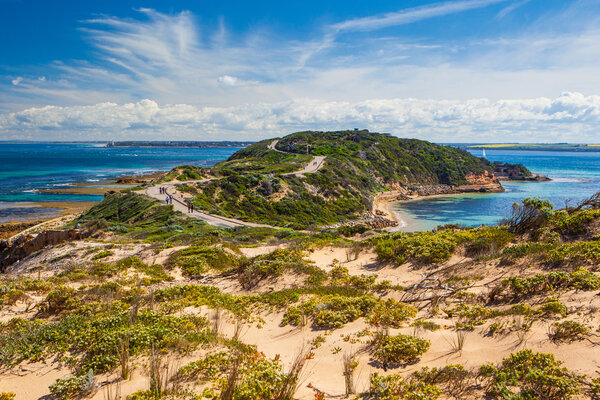 Point Nepean On A Summer 's Day
