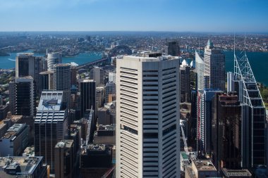 Sydney 'in Kuzeye Bakış Hava Görüntüsü