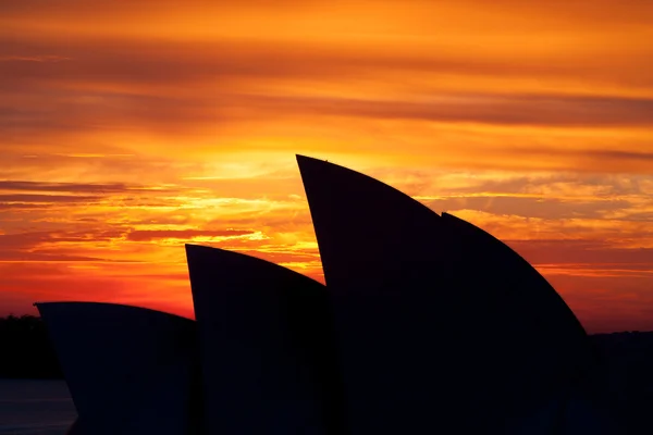 Sydney Opera House bij zonsopgang — Stockfoto