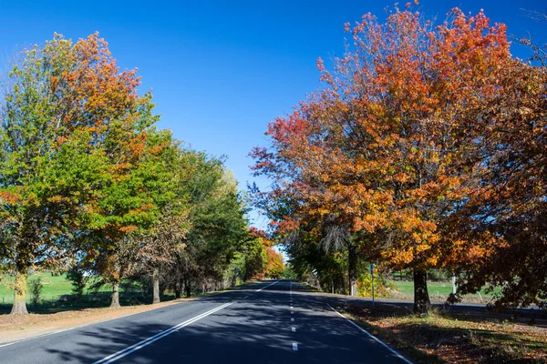 Beechworth Street — Stock Photo, Image