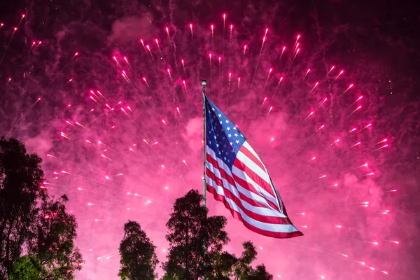 Independance Day Fireworks — Stock Photo, Image