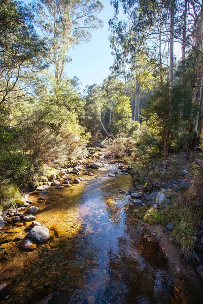 Couro Barrel Creek — Fotografia de Stock