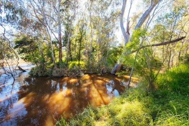 Melbourne Avustralya 'da Yarra Patikaları