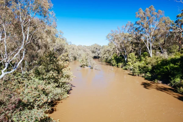 Yarra Trails in Melbourne Australië — Stockfoto