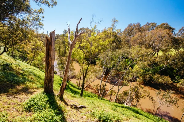 Yarra Trails in Melbourne Australië — Stockfoto