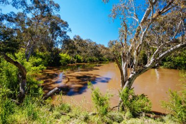 Melbourne Avustralya 'da Yarra Patikaları
