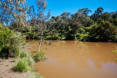 Melbourne Avustralya 'da Yarra Patikaları