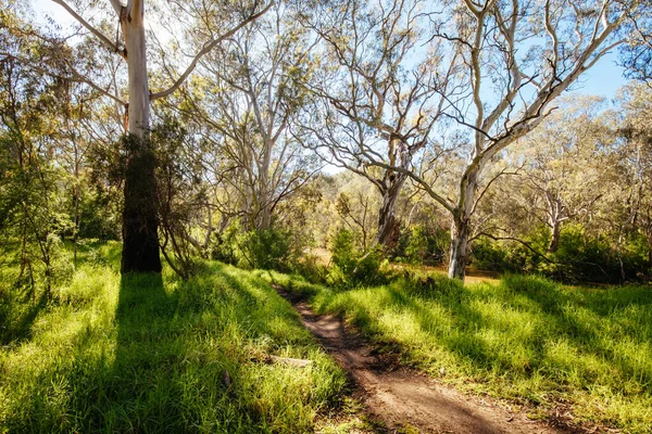 Yarra Trails in Melbourne Australia — Stock Photo, Image