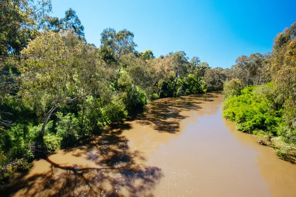 Yarra Trails in Melbourne Australië — Stockfoto